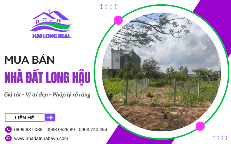 Nhà đất Long Hậu
