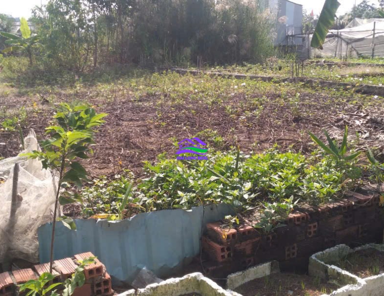 Đất giá: 3,6ty, DT: 17*19m, 320m2, thổ cư 167m3, Nguyễn Văn Tạo, xã Hiệp Phước, Nhà Bè 