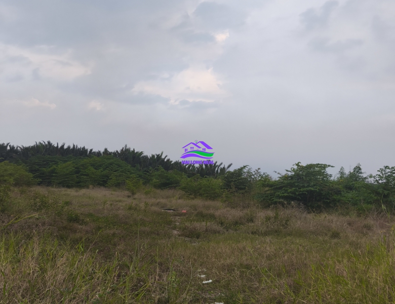Siêu phẩm Mặt tiền đường Nguyễn Bình, DT: 3155m2, có thể chuyển thổ cư 2750m2, Giá: 160ty
