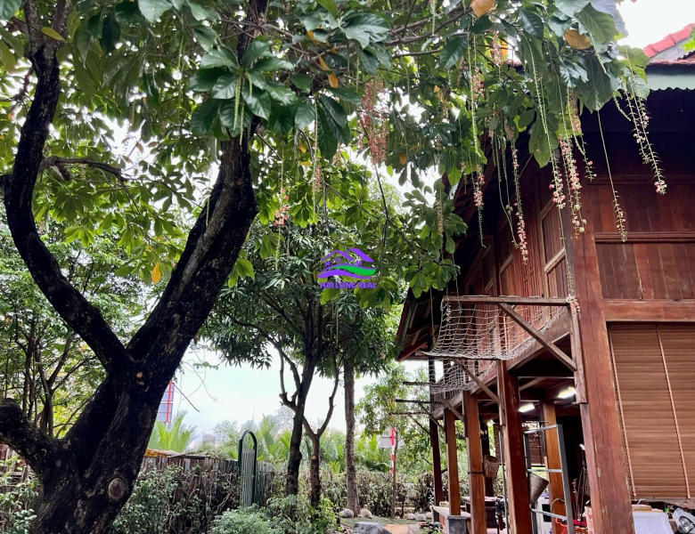 Nhà vườn view sông, giá: 9ty, DT: 278m2, 10x28m, đường Nguyễn Bình