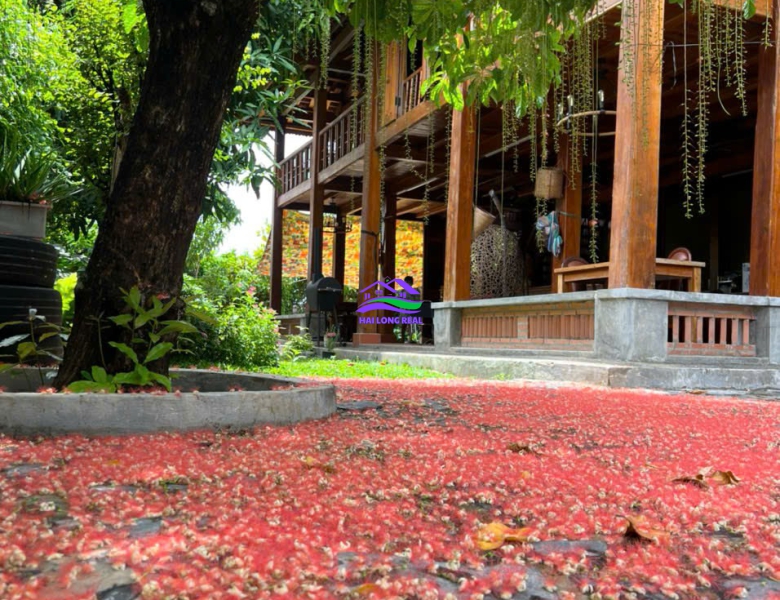Nhà vườn view sông, giá: 9ty, DT: 278m2, 10x28m, đường Nguyễn Bình