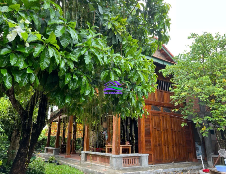 Nhà vườn view sông, giá: 9ty, DT: 278m2, 10x28m, đường Nguyễn Bình