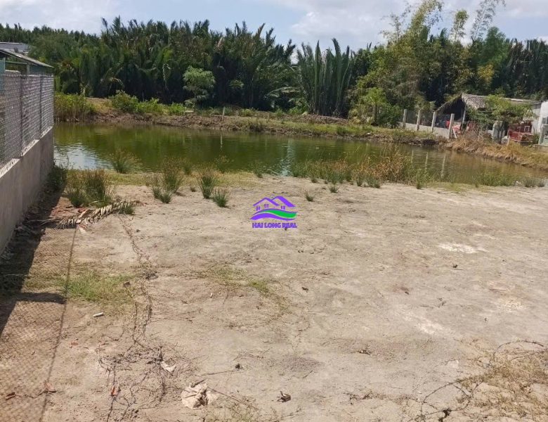 Đất giá: 1,7ty, DT: 1000m2, 25*40m, đường Tân Tập - Long Hậu, cạnh KCN Long Hậu 