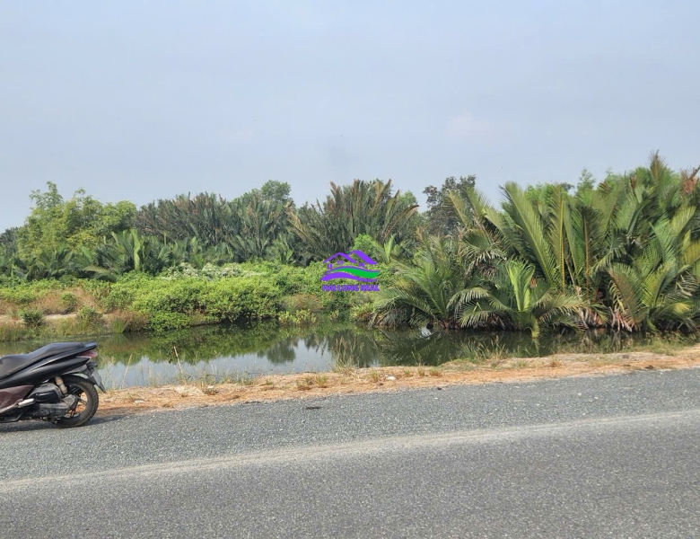 Đất giá: 3.2ty, DT: 826m2, ngang 21m, mặt tiền đường Tân Tập - Long Hậu, cạnh KCN Long Hậu 