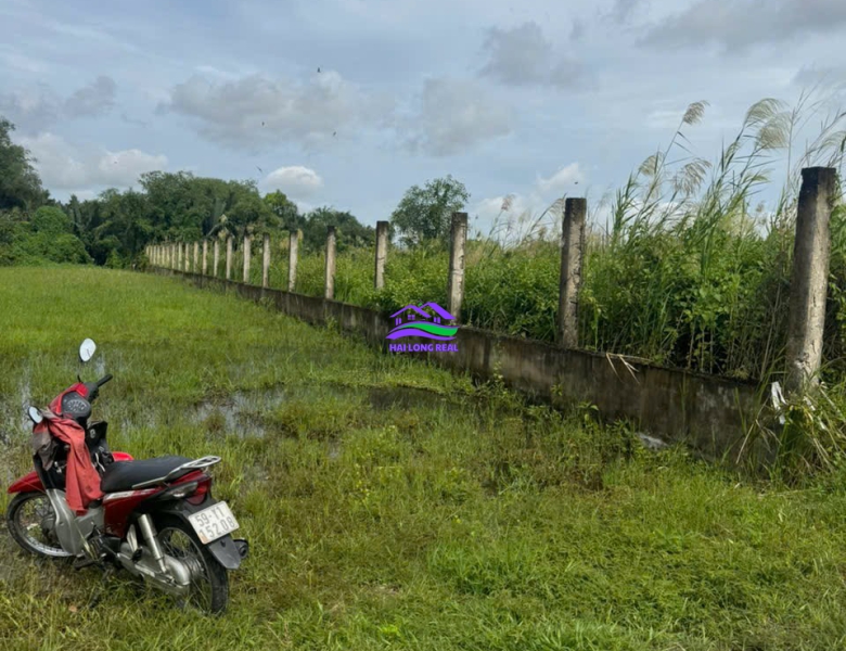 Đất giá: 12ty, DT: 1170m2, thổ cư 300m2, ngang 15x77m, Đường XƯƠNG CÁ 2 - NGÔ QUANG THẮM, Nhà Bè 
