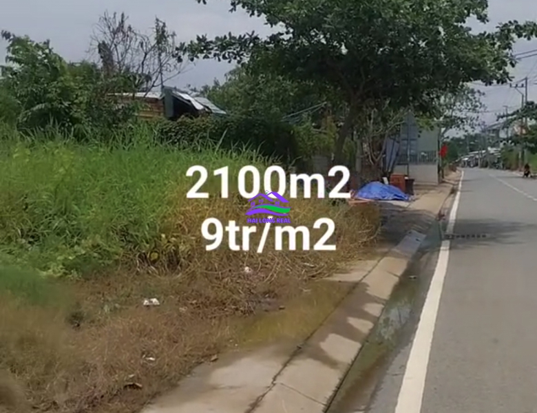 Đất mặt tiền đường Đào Sư Tích, xã phước lộc, nhà bè,2100m2, Giá: 9tr/m2, 