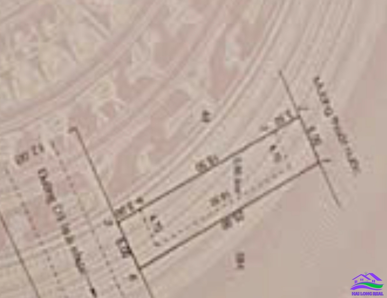 HAILONGREAL: Nhà trọ đường 12m, 526/ Nguyễn Văn Tạo, Giá: 5,5ty, DT::6x25m, xã Long Thới, Nhà Bè 