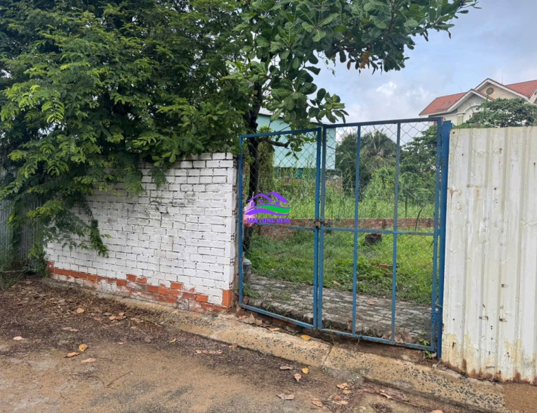 đất giá: 31tr/m2, DT: 6x27m, 165m2, đường 8m, khu Đai Việt, đường Lê Văn Lương, xã Nhơn Đức, Nhà Bè