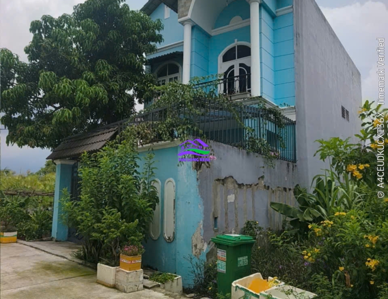 HAILONGREAL: Biệt thự Mini, đường 7m, Lê Văn Lương, Giá: 6,7ty, DT: 7x25m, 1 lầu, xã Nhơn Đức, Nhà Bè 