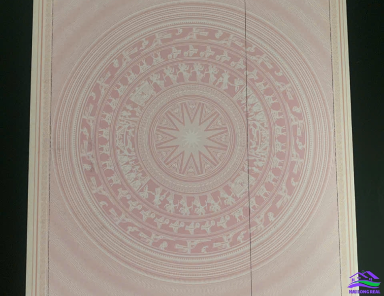 HAILONGREAL: đất giá: 25tr/m2, DT: 8x21m, khu C45 Bộ Công An, khu 512 Nguyễn Văn Tạo, xã Long Thới, Nhà Bè