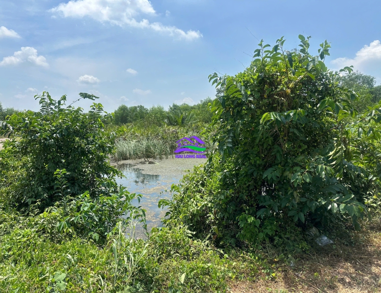 HAILONGREAL: Đất mặt tiền đường Liên Ấp 2/3, Nguyễn Văn Tạo, giá: 3,8tr/m2, diện tích: 1280m2, xã Hiệp Phước, Nhà Bè 