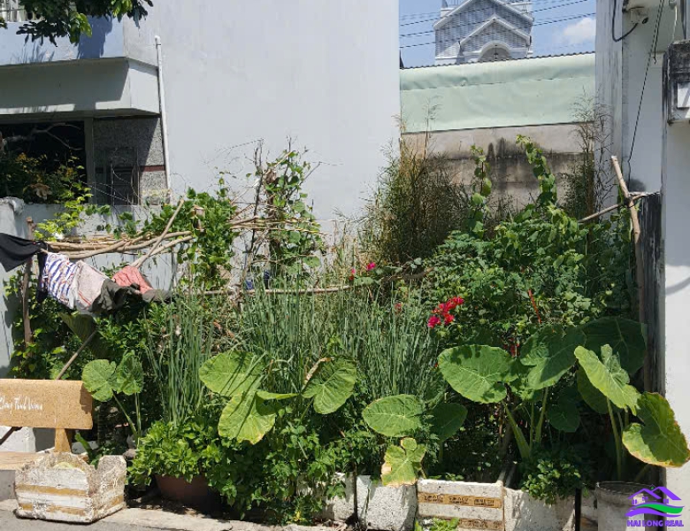 HAILONGREAL: Đất đường 7m, 845/ Nguyễn Bình, Giá: 5,1ty, DT: 5*20m, xã Nhơn Đức, Nhà Bè 