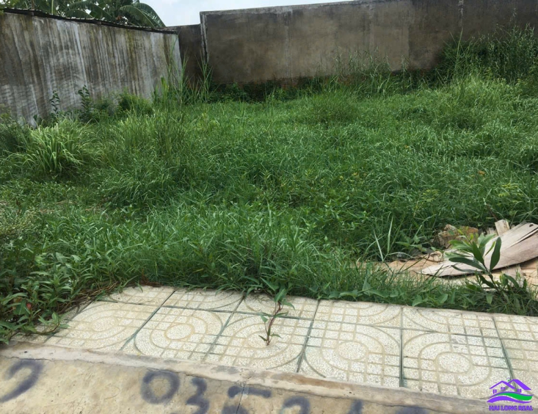 HAILONGREAL: ĐẤT ĐƯỜNG 6M, 5X21M, GIÁ: 3.1TY, NGUYỄN VĂN TẠO, LONG THỚI, NHÀ BÈ